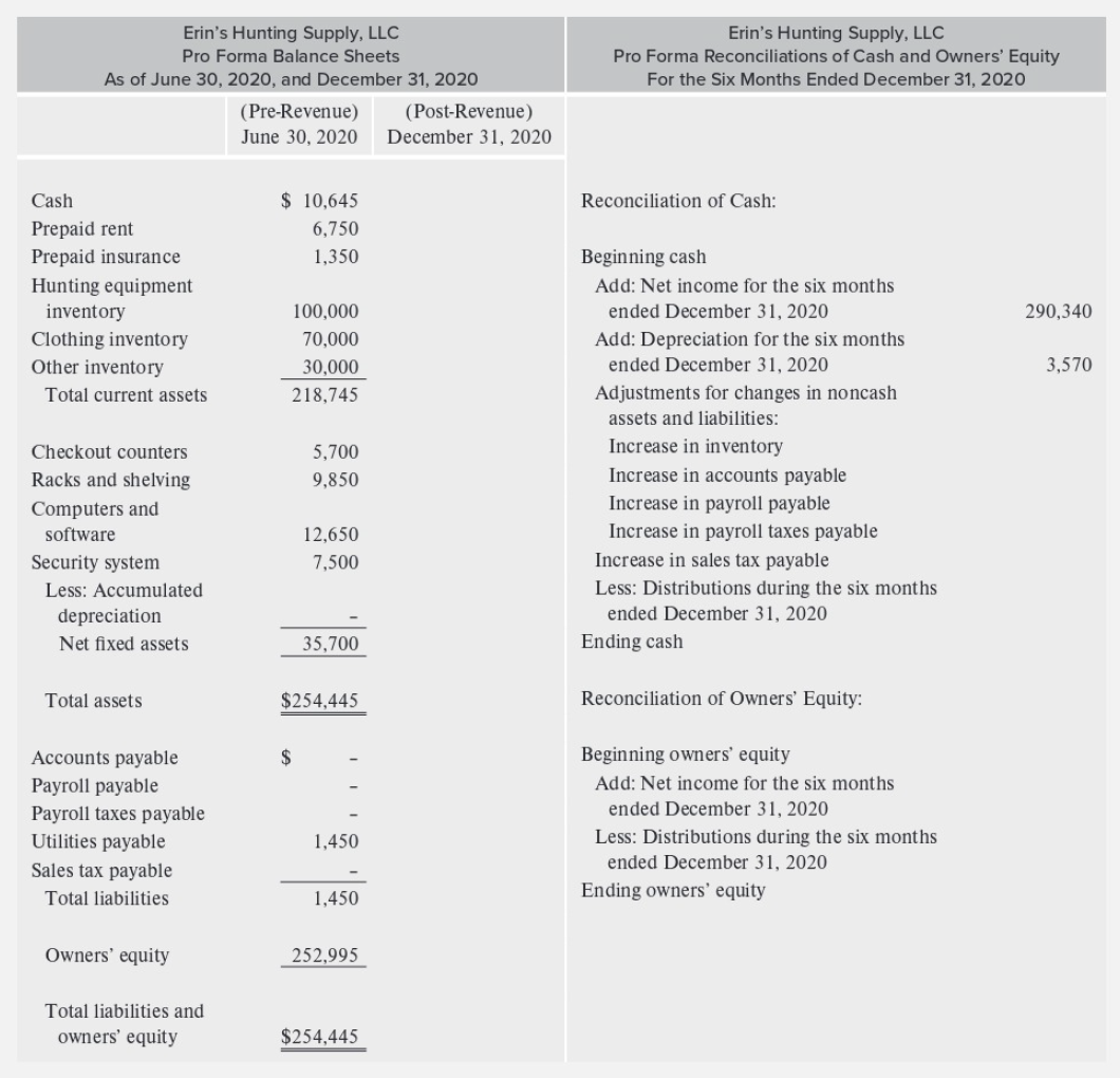 sheets and related reconciliations of cash and owners equity for Erins Hunting