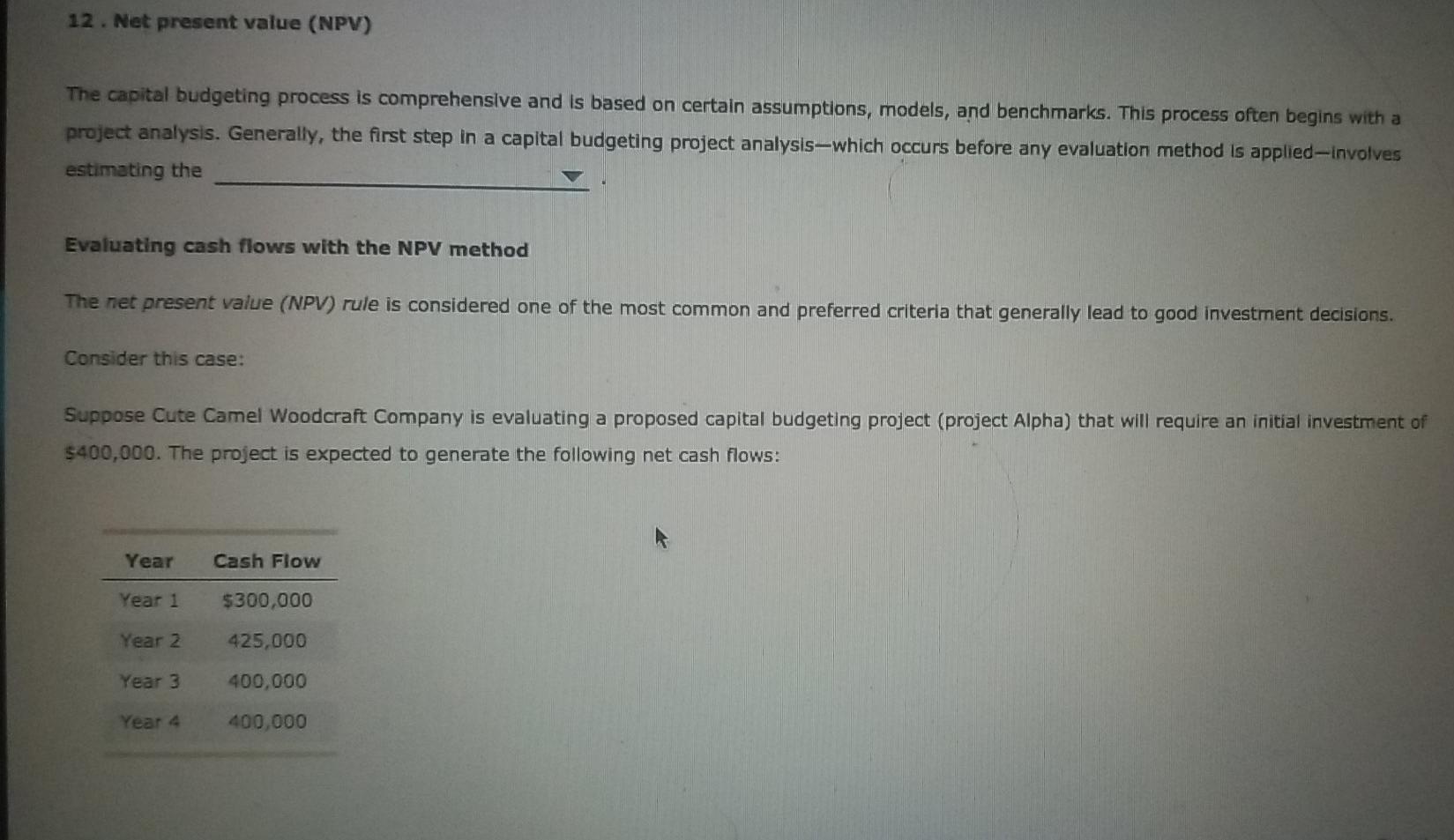  12. Net present value (NPV) The capital budgeting process is comprehensive