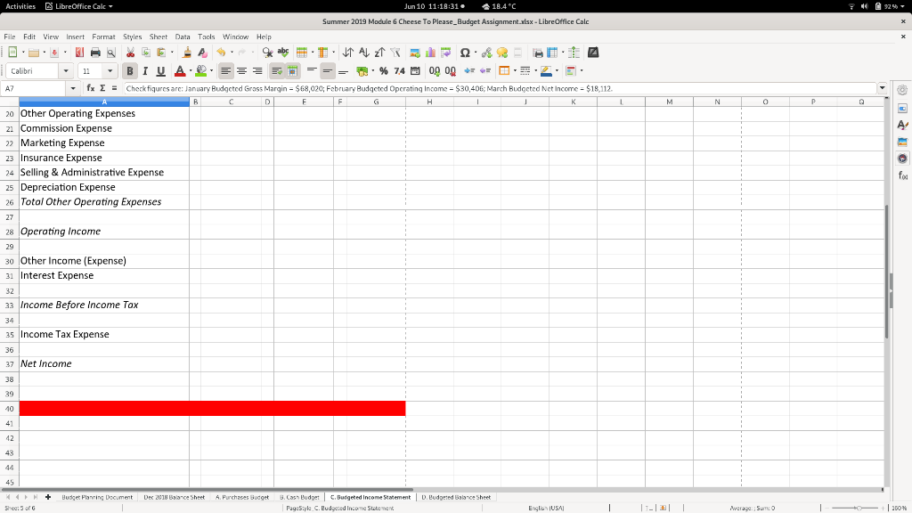 Statement; and D) a Budgeted Balance Sheet. They have provided you with