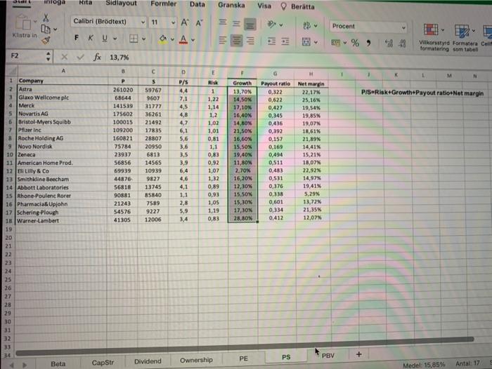 B. Founder/Owners C. Passive vs Active D. Stockholders with competing interests E.