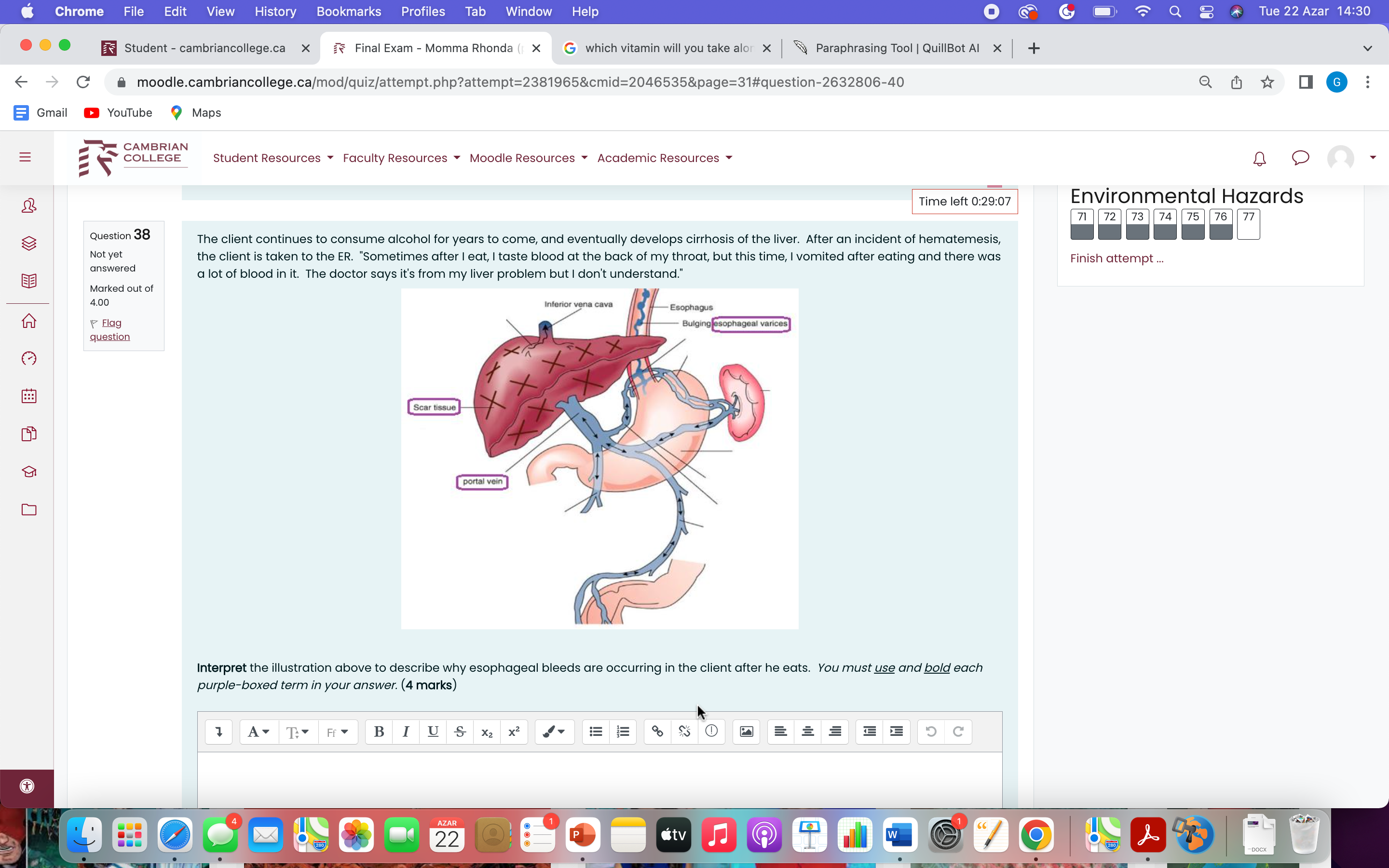 cambriancollege.ca x Final Exam - Momma Rhonda ( X G why the