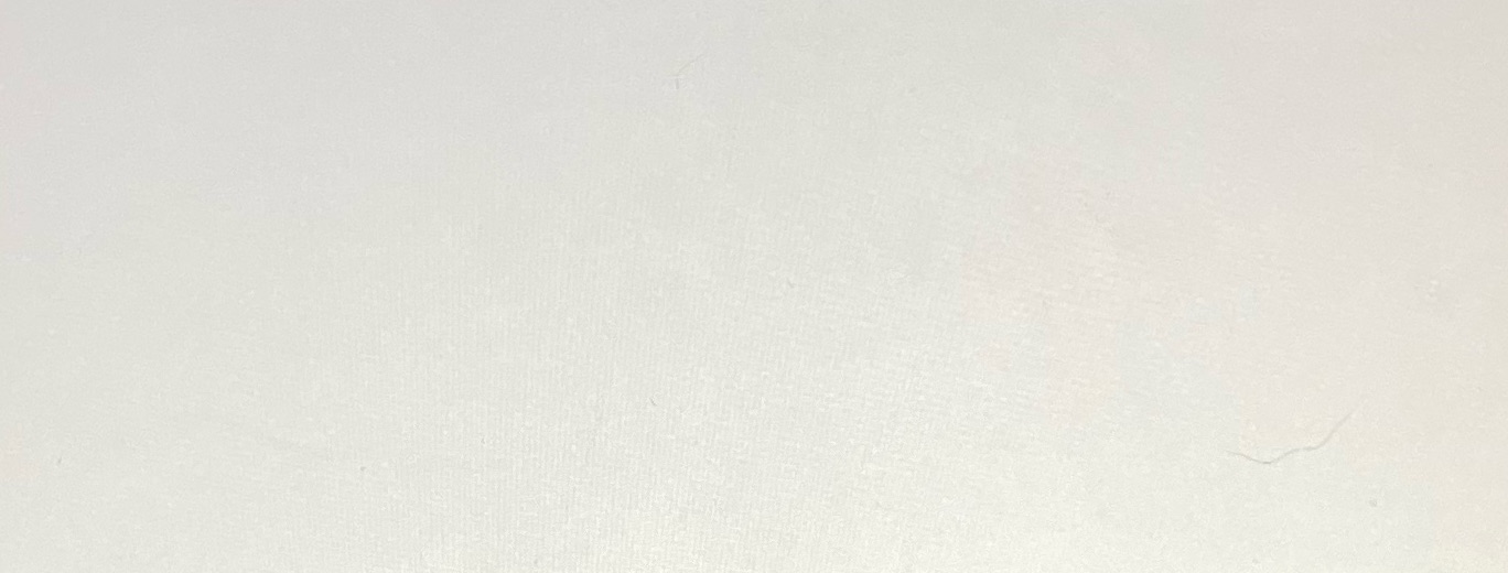 According to the rational root theorem which is a factor of the