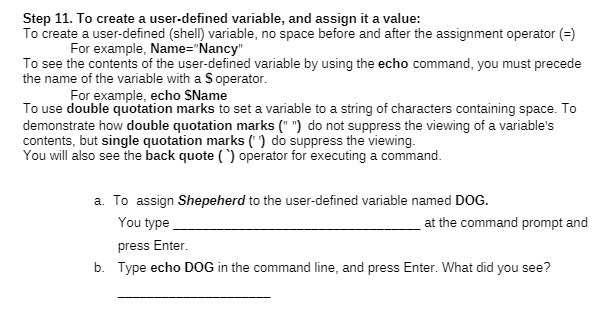  Step 11. To create a user-defined variable, and assign it a