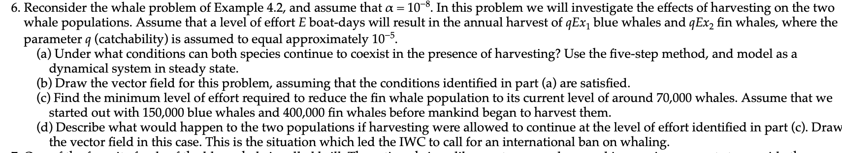whale and n whale are two similar species that inhabit the same