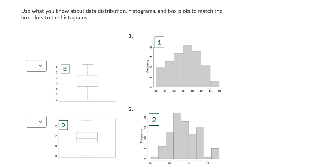 Use what you know about data distribution, histograms, and box plots