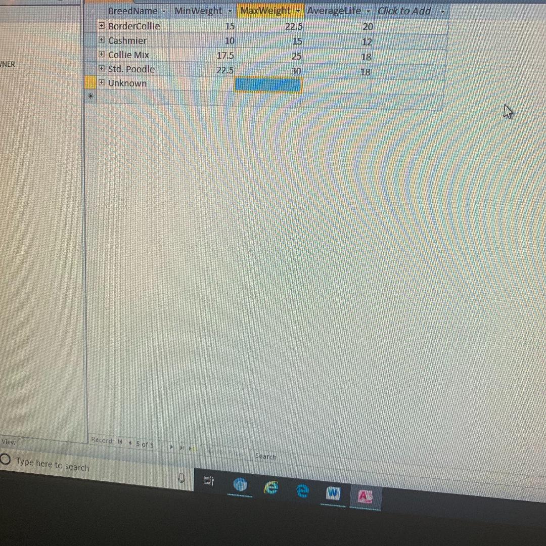 table structure for Breed, Pet,Pet_3, Pet_Owner and save the results in a