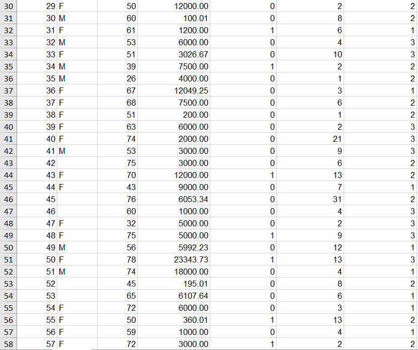 Age of the cardholder, ranging from to 21 to 82 years old