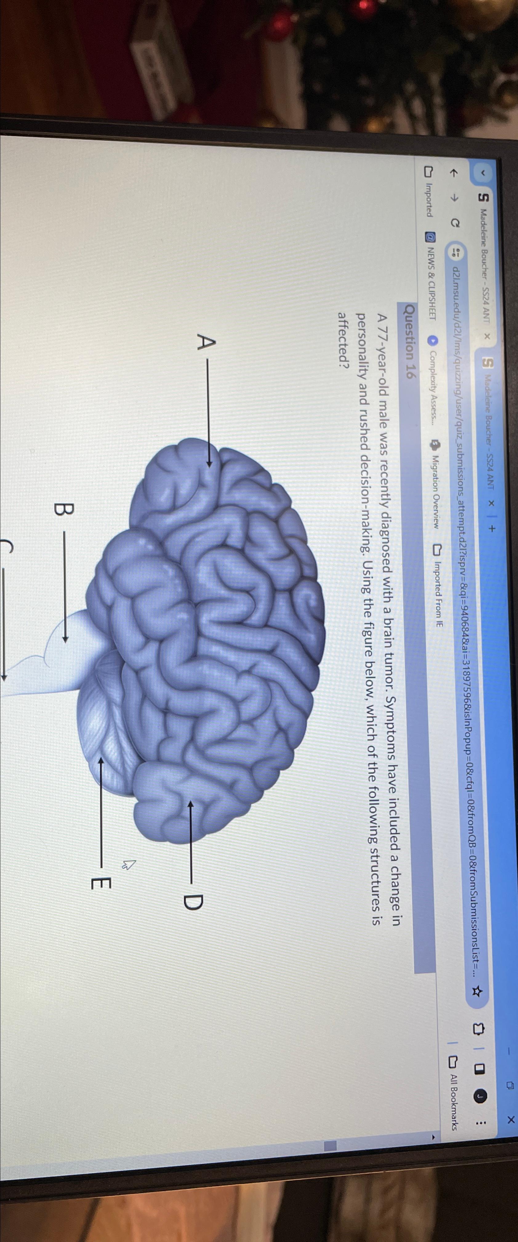  5 5 524 ANT 1+ 0 All Bookmark Imported N Com