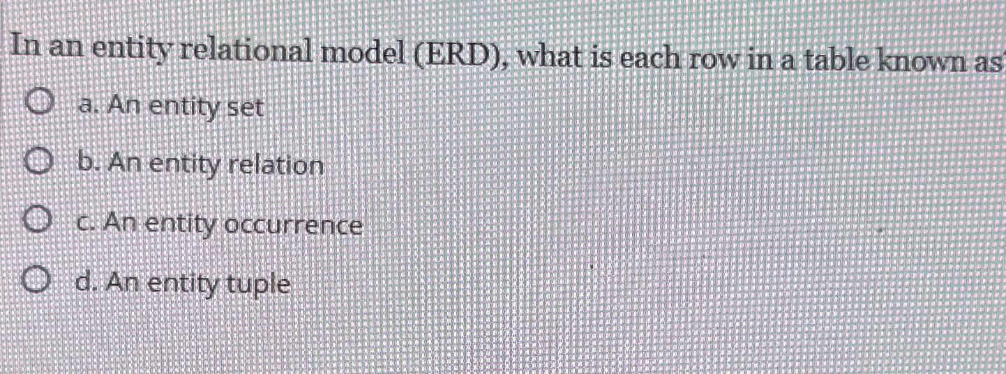  In an entity relational model (ERD), what is each row in