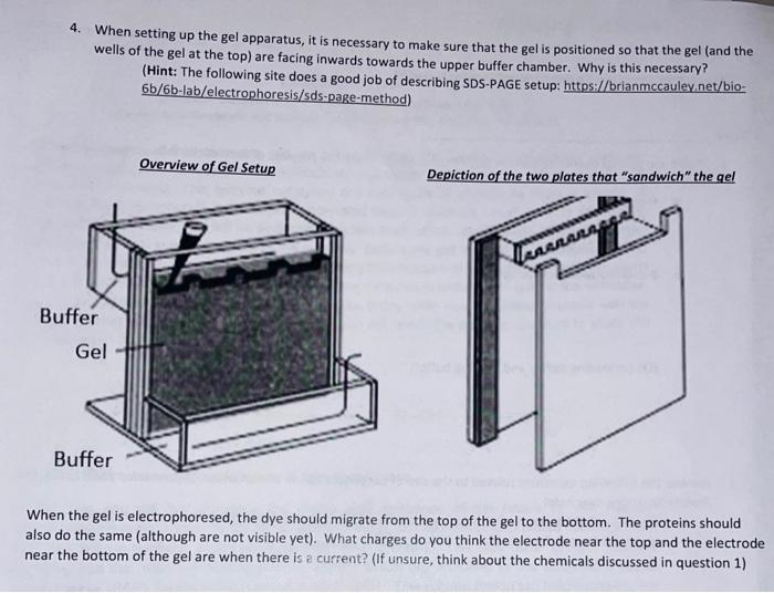  4. When setting up the gel apparatus, it is necessary to