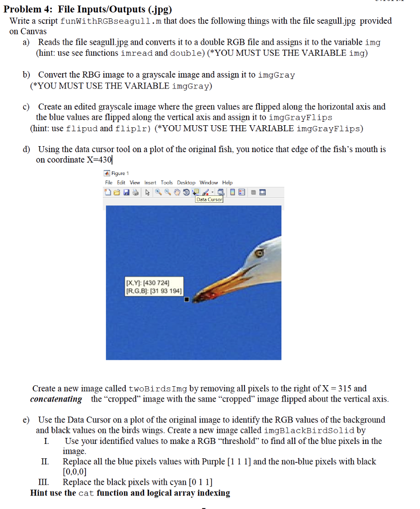 USING MATLAB!! Problem 4: File Inputs/Outputs (.jpg) Write a script funWithRGBseagull.m that