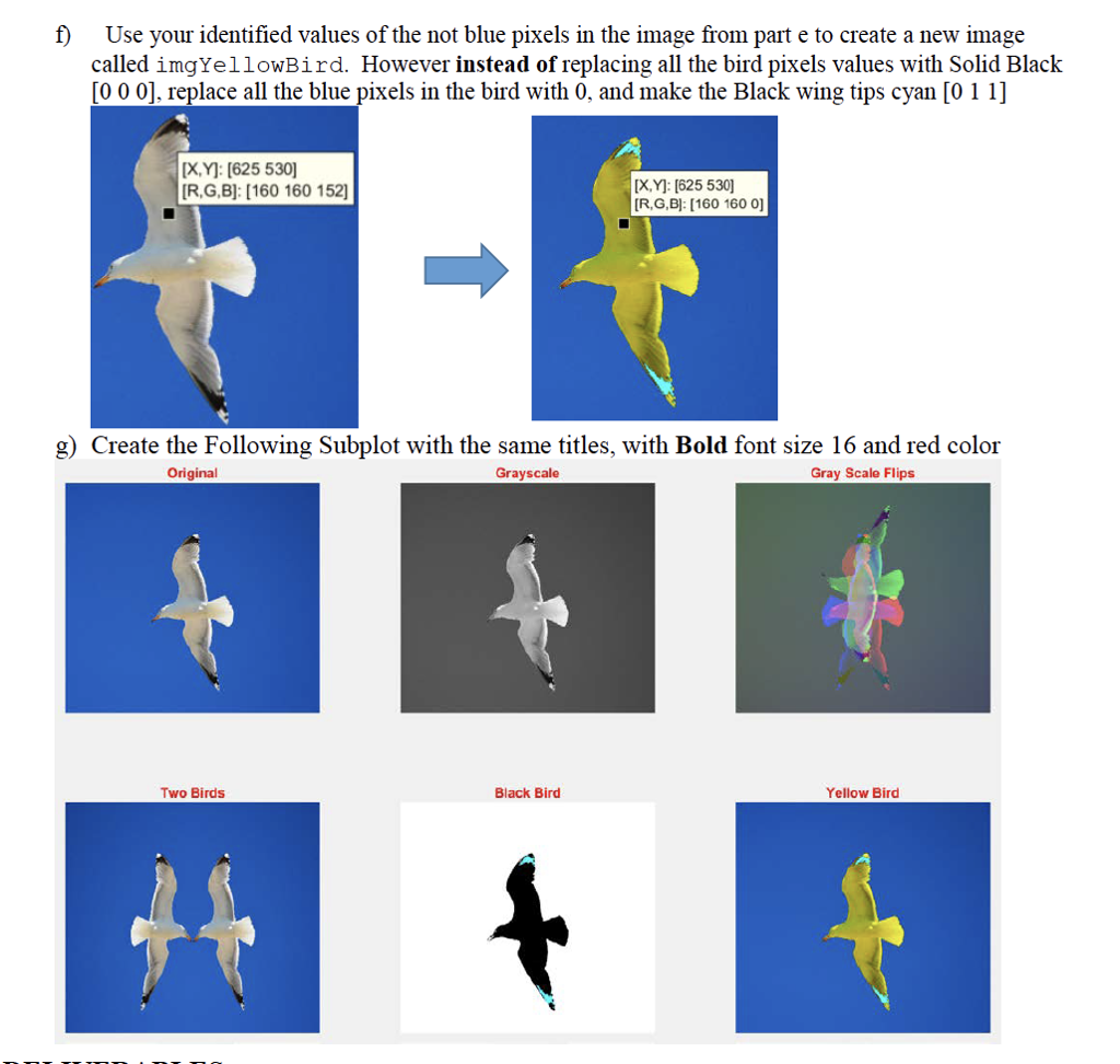 does the following things with the file seagull.jpg provided on Canvas a)