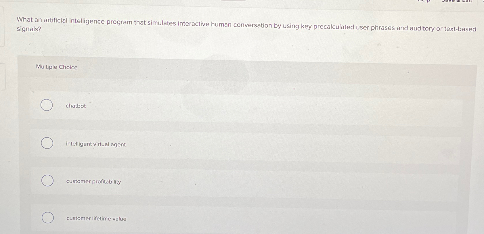  What an artificial intelligence program that simulates interactive human conversation by