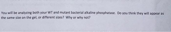  You will be analyzing both your WT and mutant bacterial alkaline