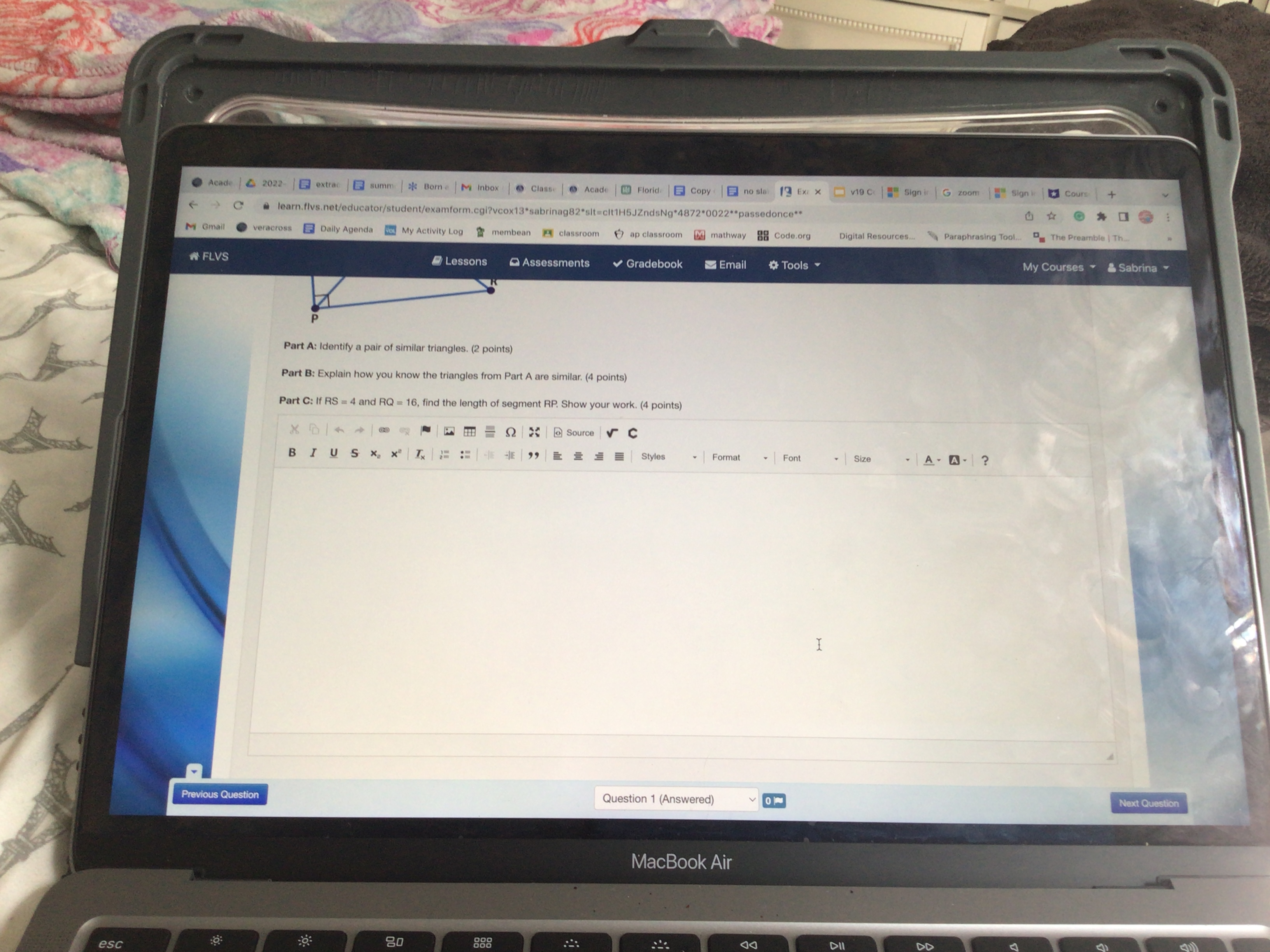 a pair of similar triangles. (2 points) Part B: Explain how you