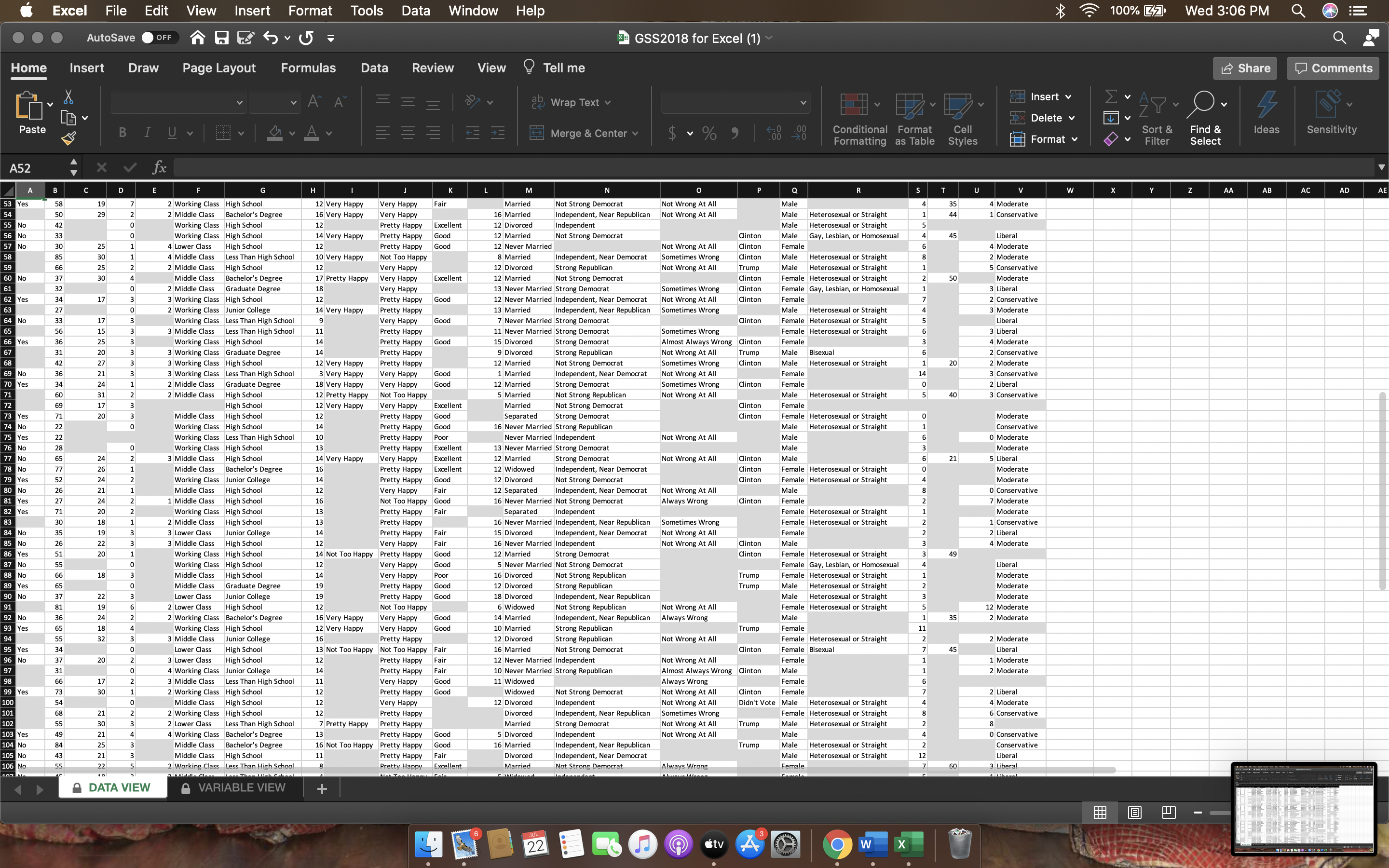 ExcelThe American stereotype suggests that most couples want to have two children.
