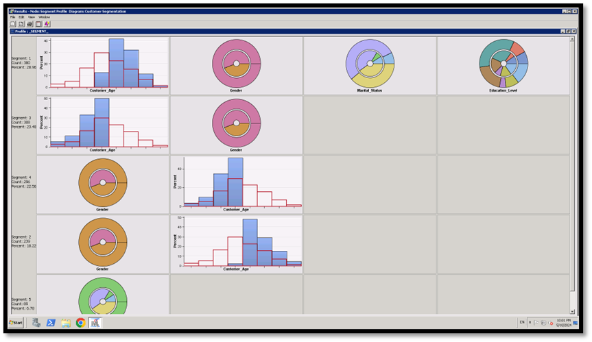 What are the most important variables based on each segment? explain what