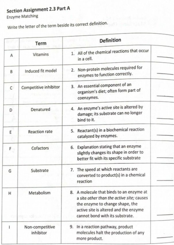  Section Assignment 2.3 Part A Enzyme Matching Write the letter of