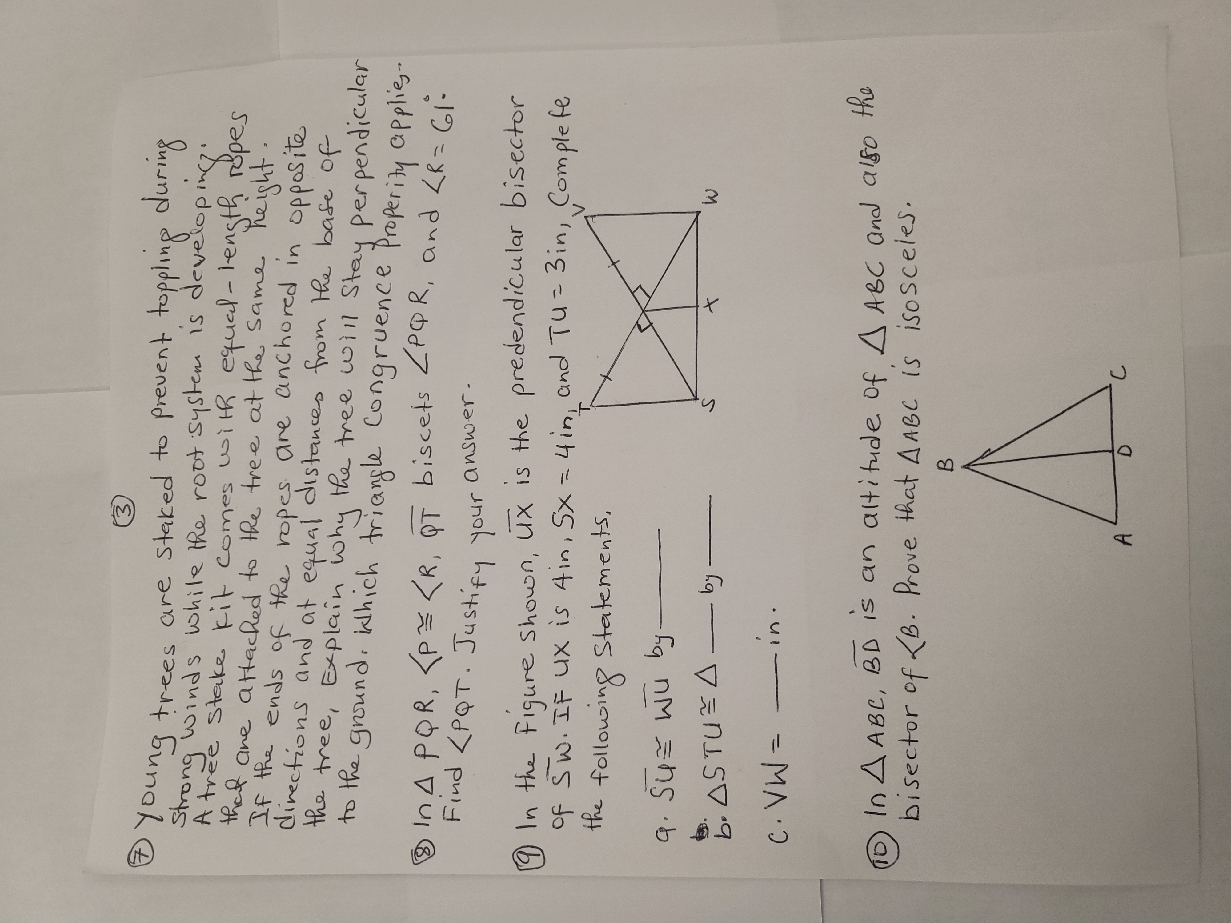 Solve the following problem and show work 3 young trees are staked