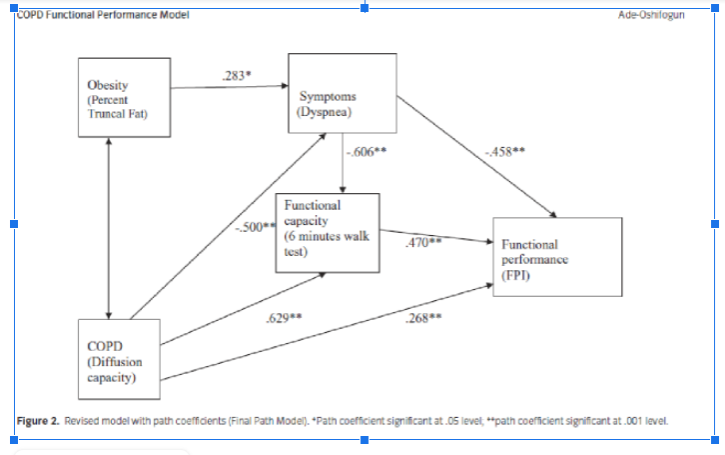 What is the path coefficient number for each concept? COPD Functional Performance