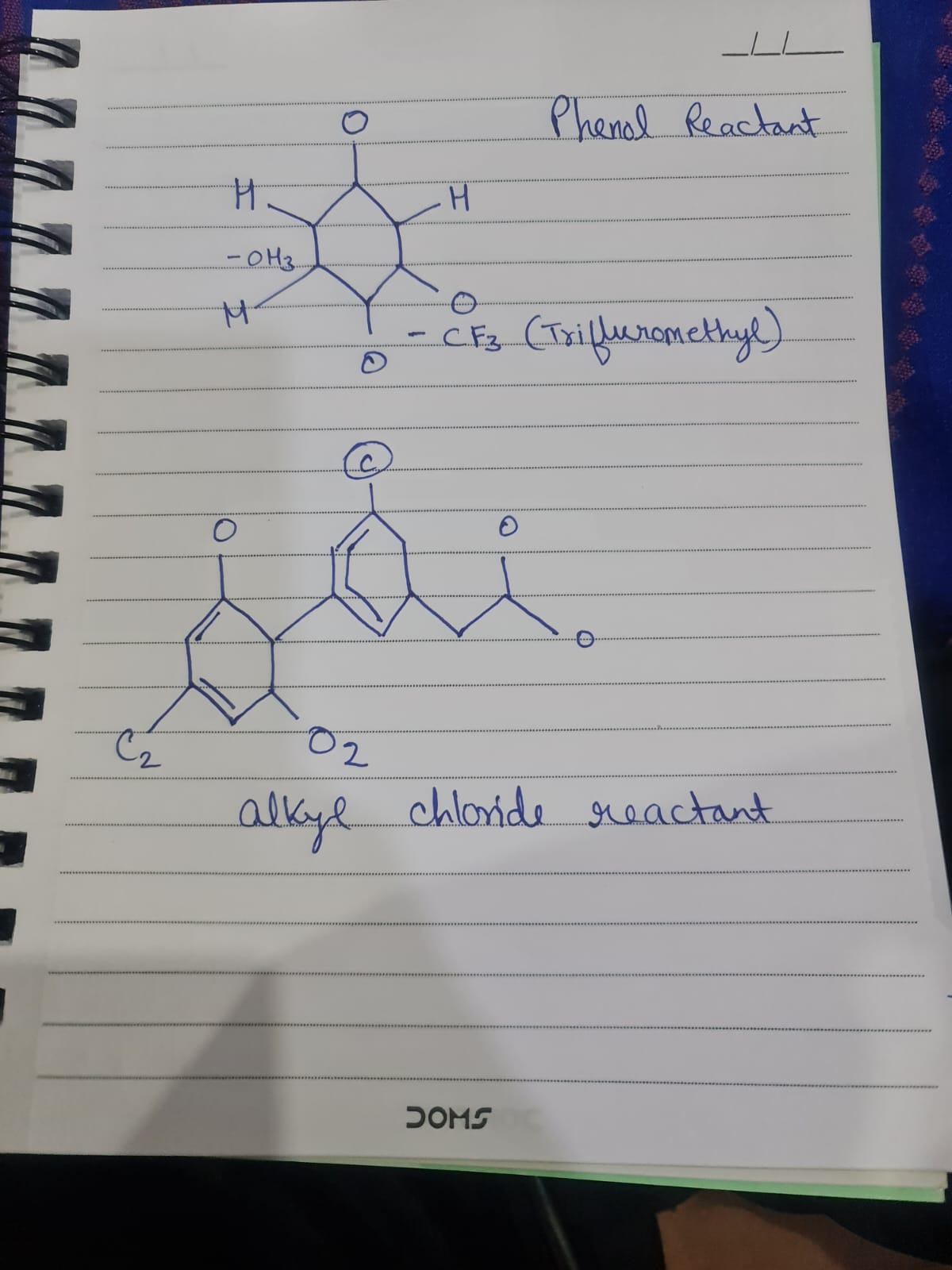 x S Homepage - US24-CEM-2 X C Home - Learn with Chegg