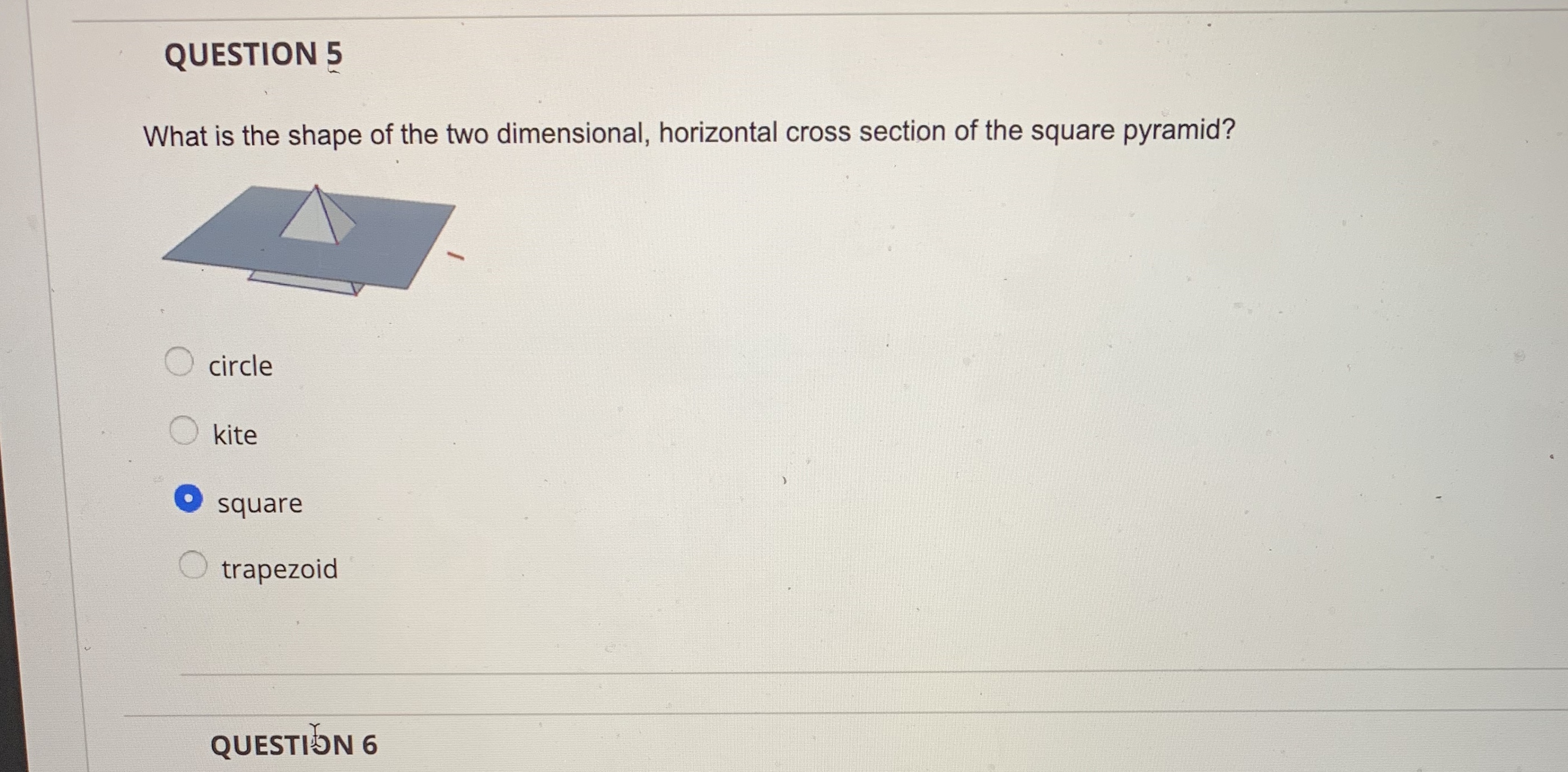 the chang two dimensional diagonal cootion of the panelQUESTION 4 What is