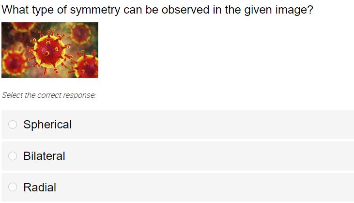 correct response.- True False \f\fWhat type at symmetry can be ebeewed in