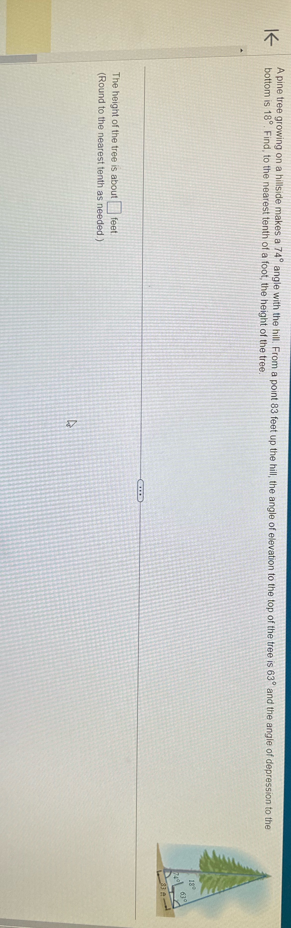  A pine tree growing on a hillside makes a 74" angle