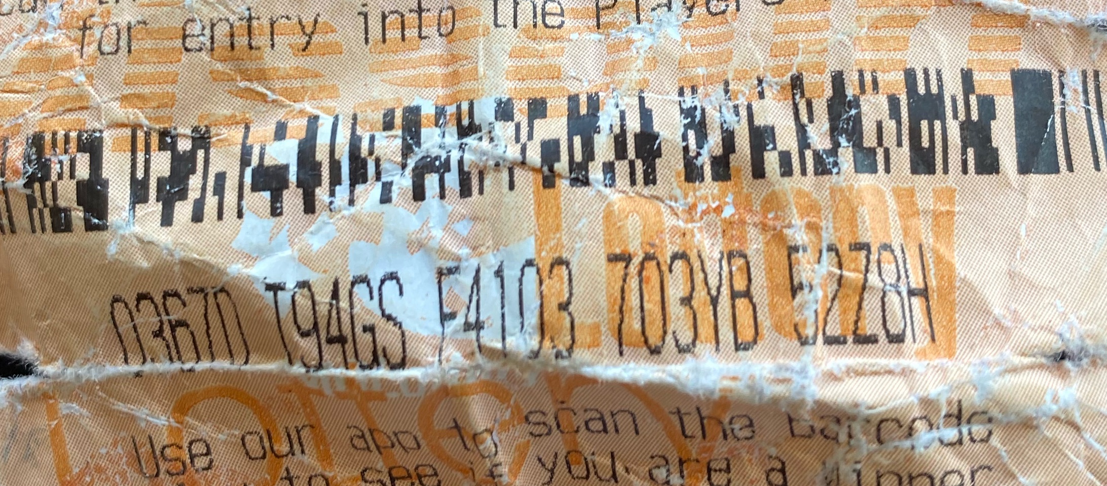 image text in transcribed