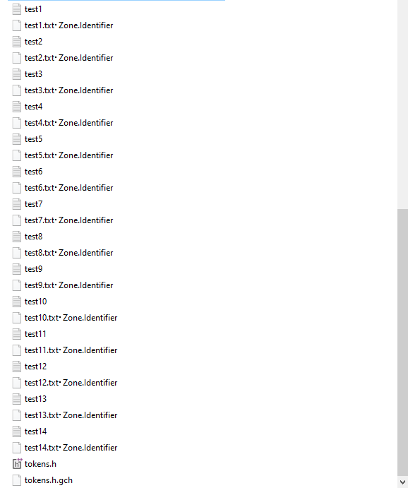 test file?When I recompile my code, then use the command ./compile I