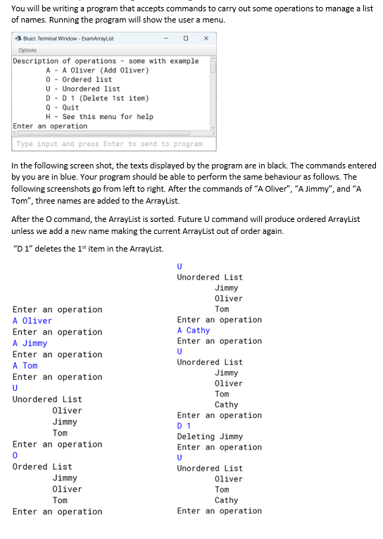 You will be writing a program that accepts commands to carry