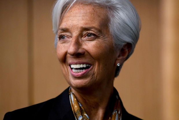 Read the article below and answer the question in the box provided.