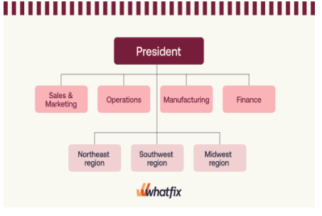 Background:ORGANIZING & ORGANIZATION STRUCTURE Q: What are the major steps involved in