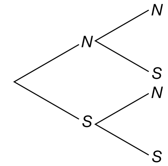 will be scored on the correctness of your methods as well as