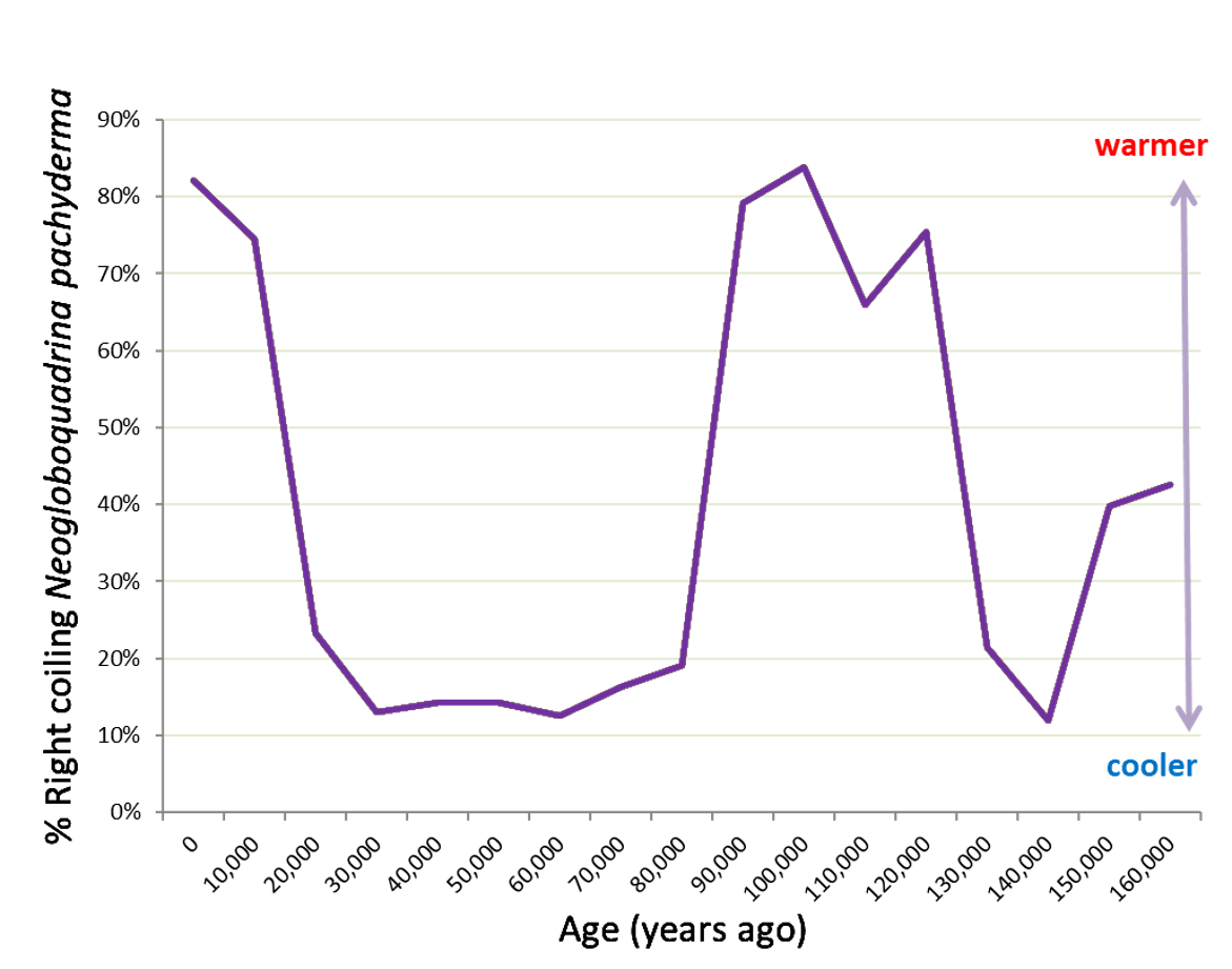 They are heterotrophic, that is, they need to eat, and their food