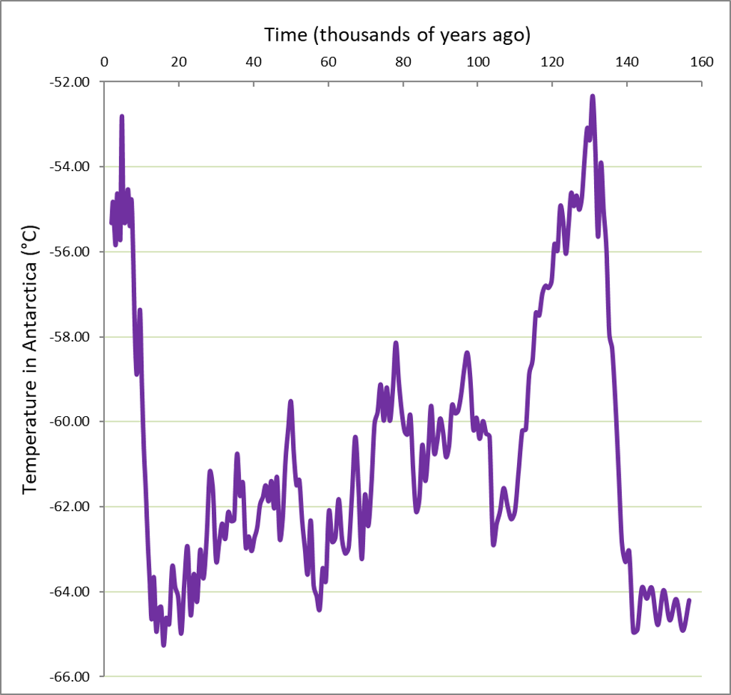 consists of phytoplankton they snag out of the water with leg-like "pseudopods".