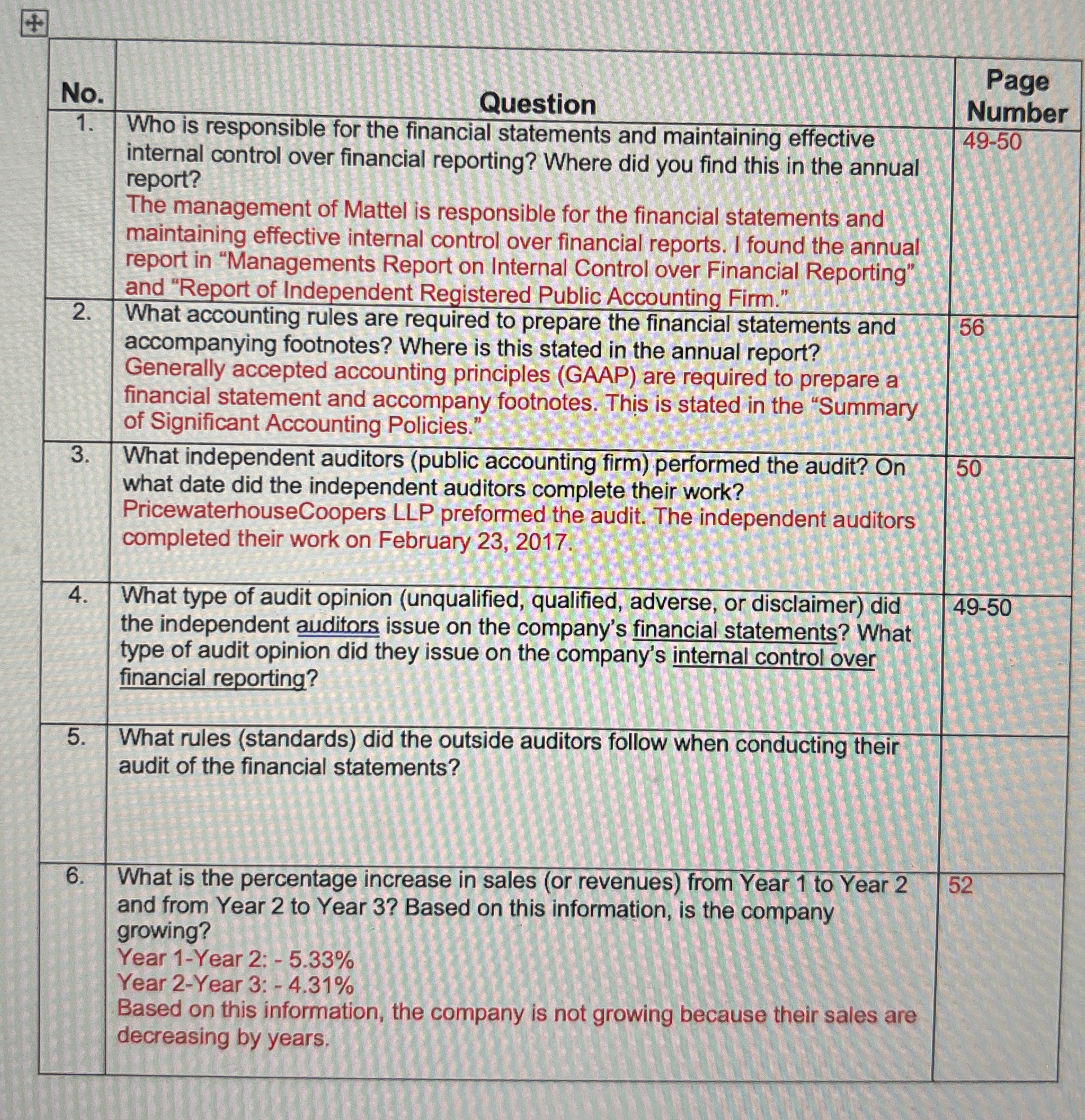  What rules(standards) did the outside auditors follow when conducting their audit