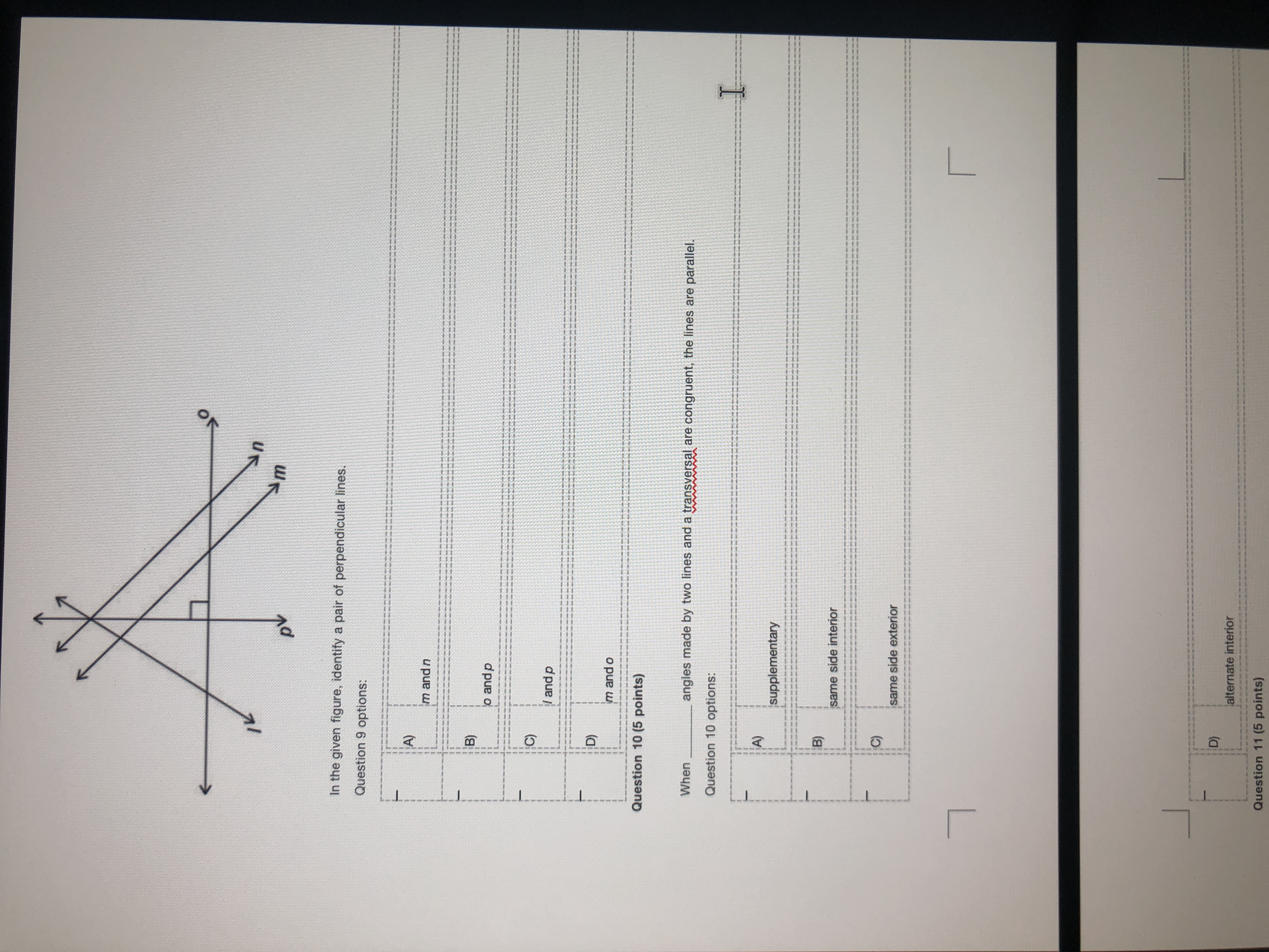 image text in transcribed