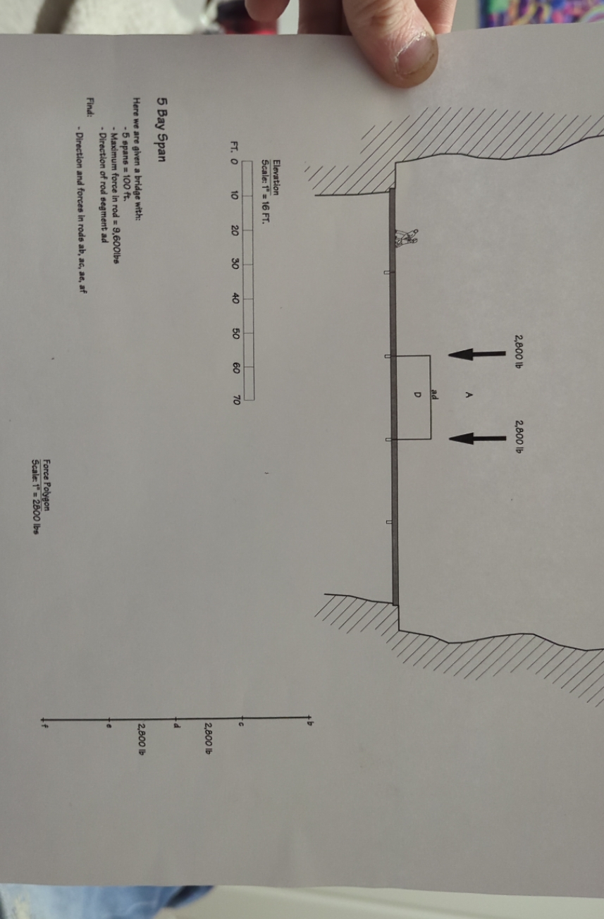 solve this question 2,800 lb 2,800 lb Elevation Scale: 1" = 16