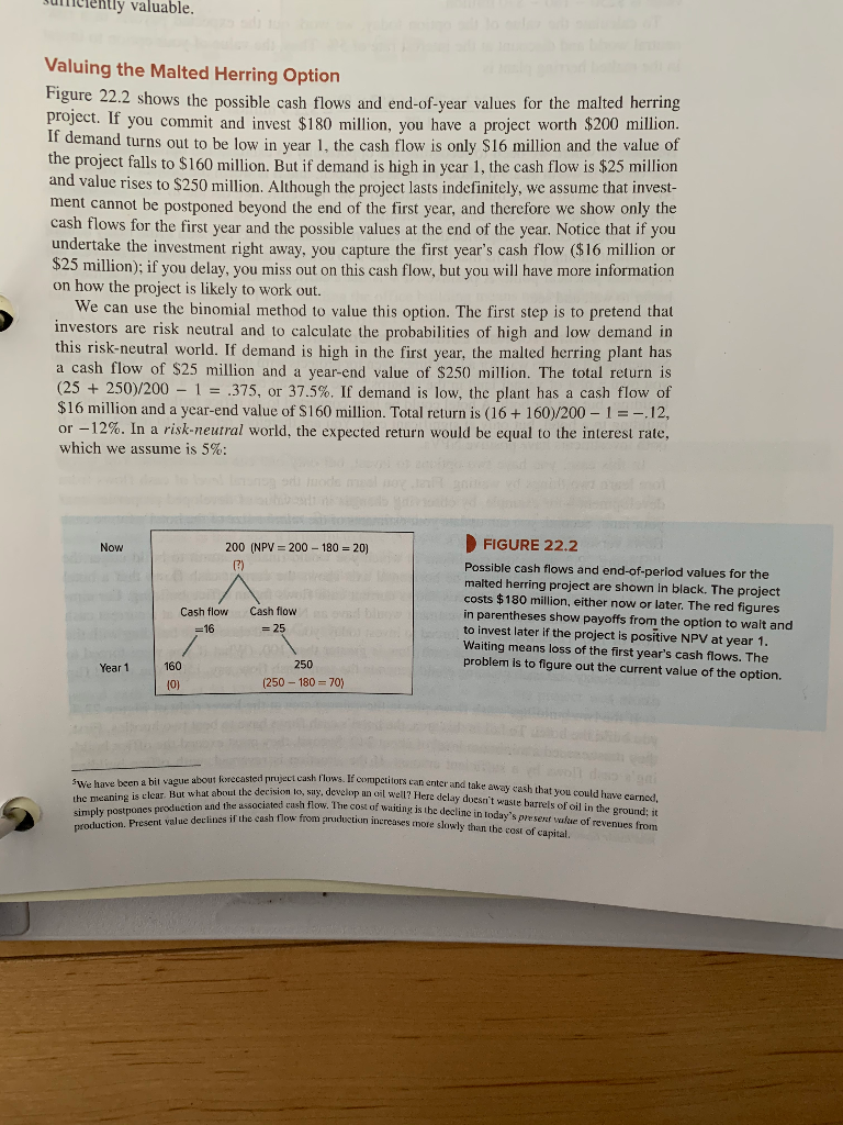 Section 22-2. How did the company's analysts estimate the present value of
