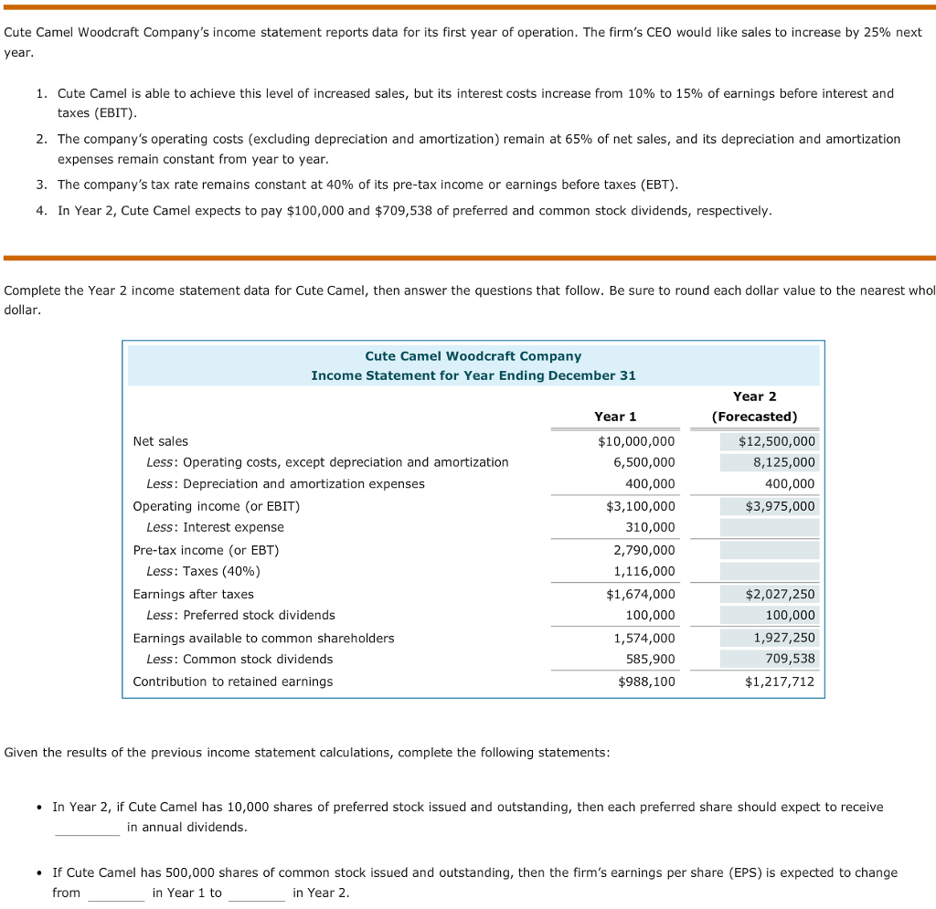 Complete the Year 2 income statement date for Cute Camel, then answer