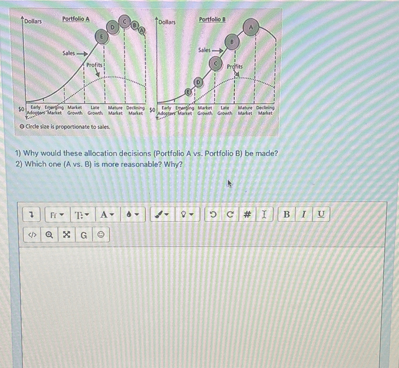  Why would these allocation decisions (Portfolio A vs. Portfolio B) be