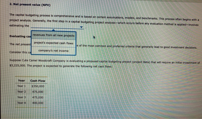  2. Net present value (NPV) The capital budgeting process is comprehensive