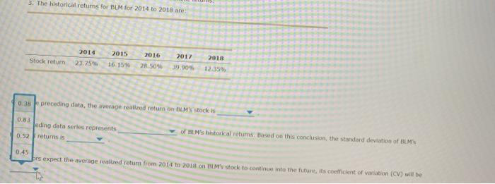 case of Blue Ulama Mining Inc. (BLM): Five years of realized returns