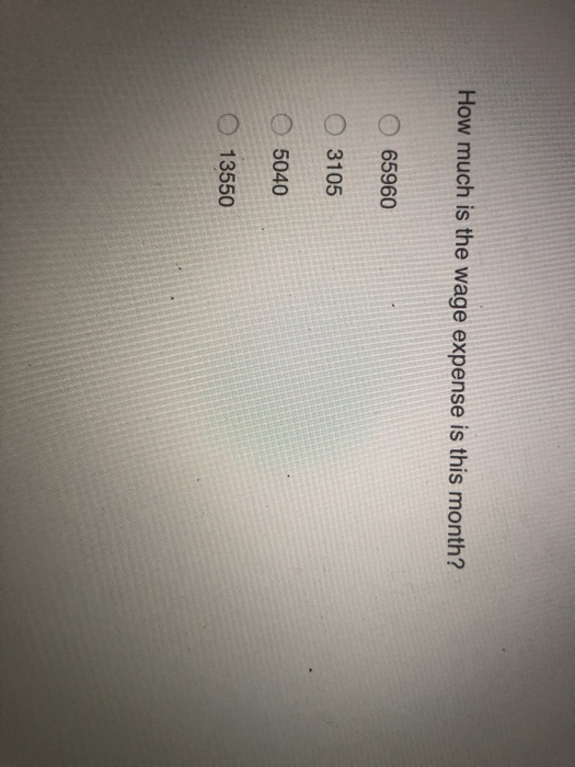 a sole proprietorship and will provide consulting services, computer system installations, and