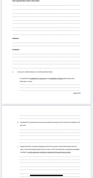services provider that provides computer software systems approaches you. The company started
