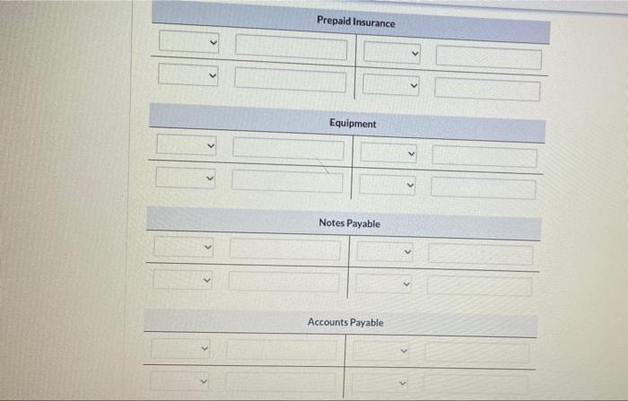 cash in the company. Borrowed $6,600 cash by signing a 6-month, 6%,