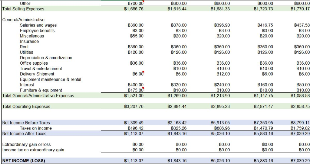 feasibility for the company and please advice suggestion for long term growth