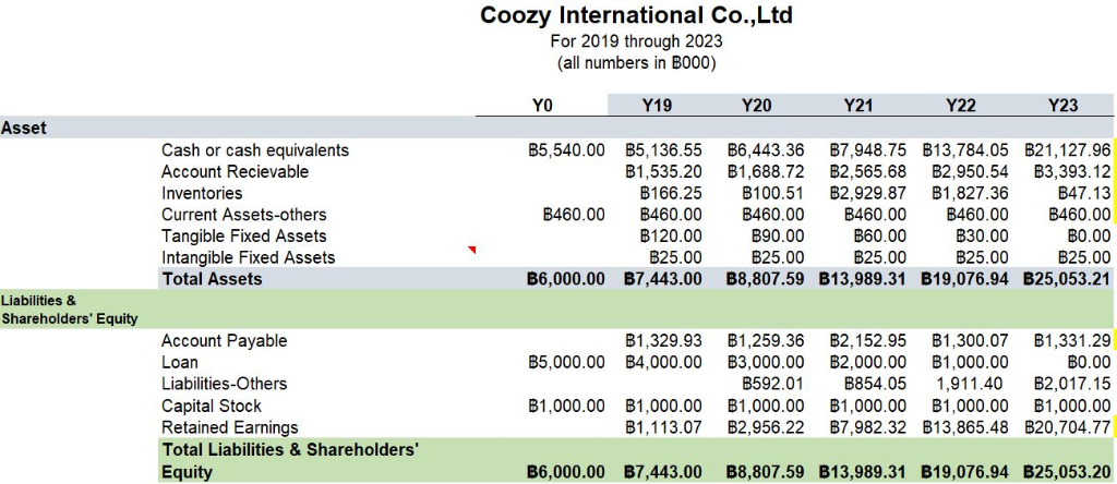 . Pro Forma Income Statement Coozy International Co.,Ltd For 2019 through 2023