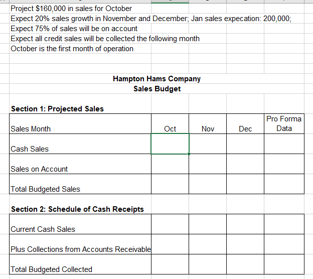  Project $160,000 in sales for October Expect 20% sales growth in